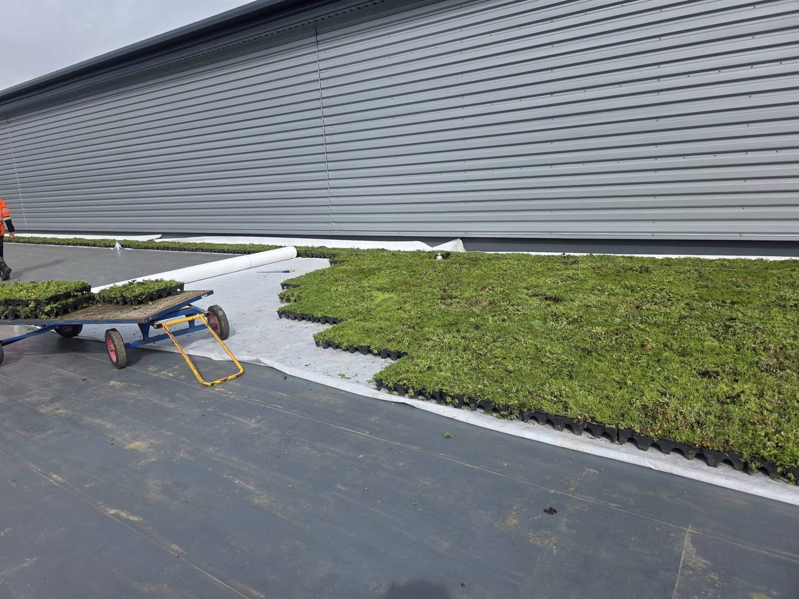 Completed sedum green roof, Milton Keynes